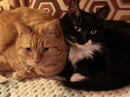 True North Nordic Walking